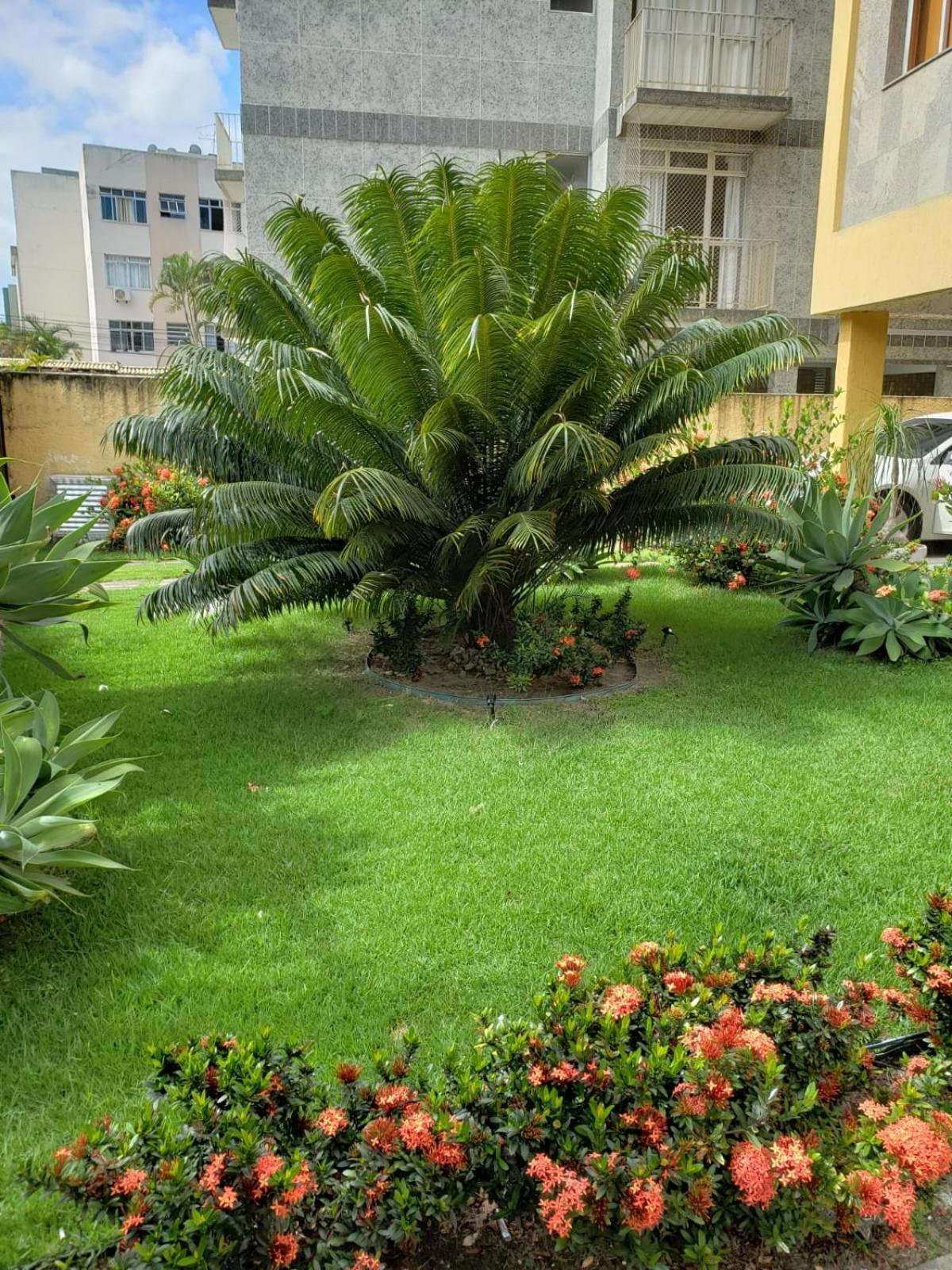 Localizacao Imbativel! A 98M Da Praia Do Forte Com Conforto, Ar-Condicionado E Estacionamento! Cabo Frio Kültér fotó